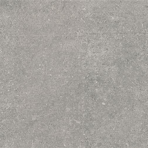 60x60 Ньюкон Серебристо-серый Матовый R10A