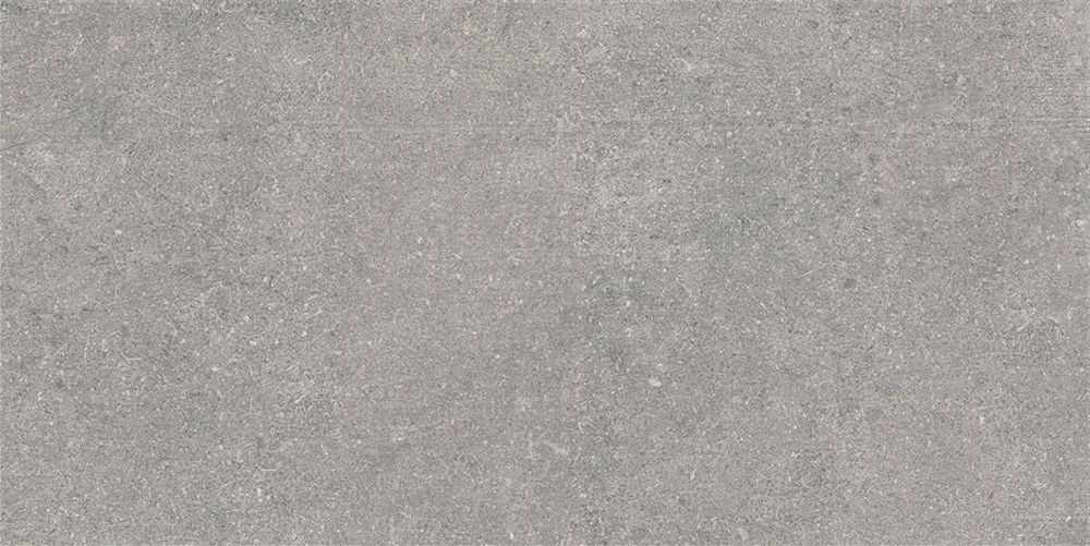 60x120 Ньюкон Серебристо-серый Матовый R10A