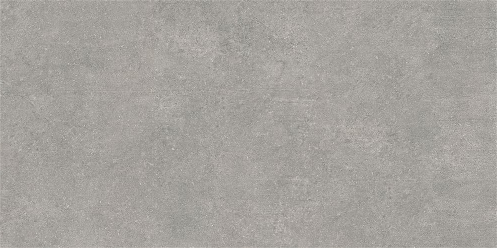 60x120 Ньюкон Серебристо-серый Матовый R10A