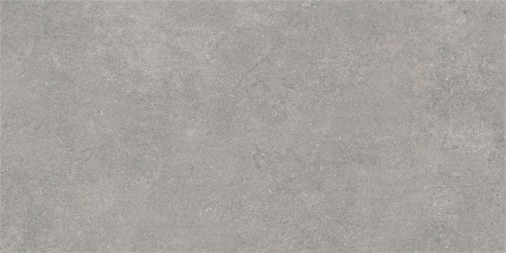 60x120 Ньюкон Серебристо-серый Матовый R10A