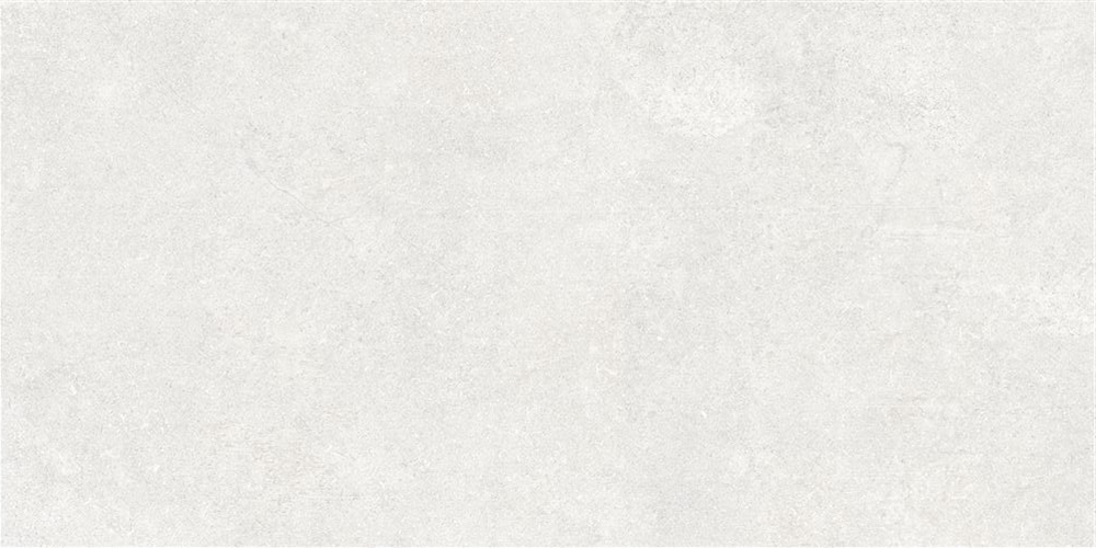 60x120 Ньюкон Белый Матовый R10A