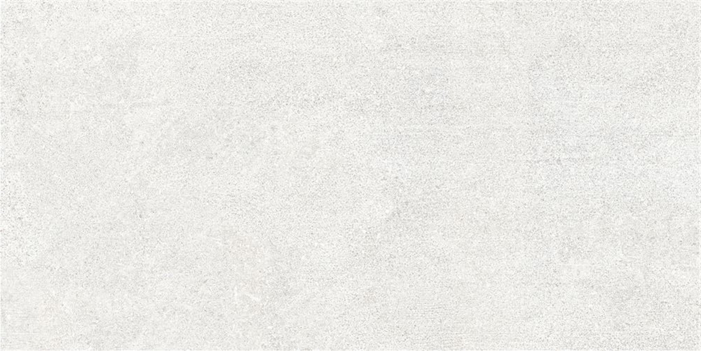 60x120 Ньюкон Белый Матовый R10A